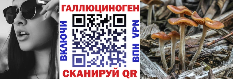 Галлюциногенные грибы прущие грибы  Белоярский 